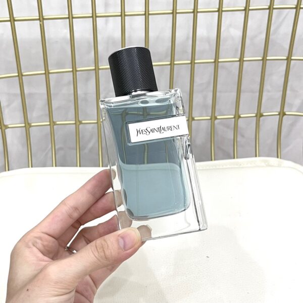YSL Yves Saint Laurent Y