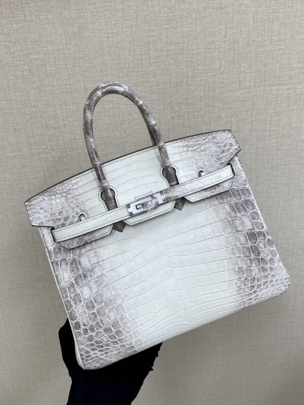 Birkin Bag Silver button Himalaya