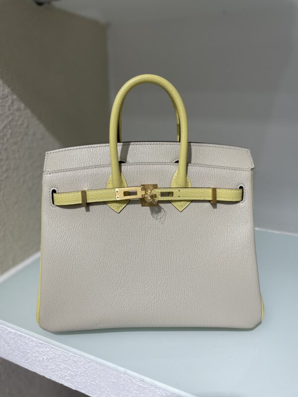 Birkin Bag
