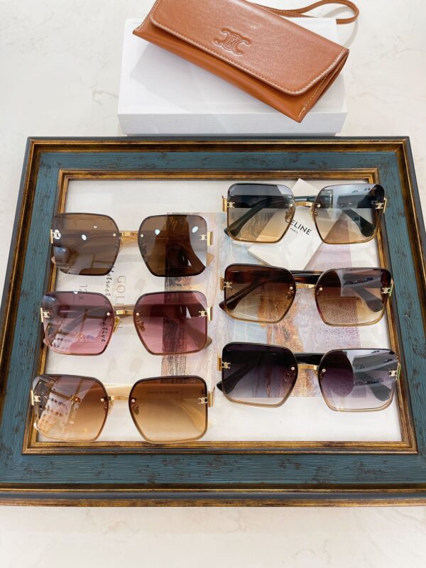 Celine  CL40238