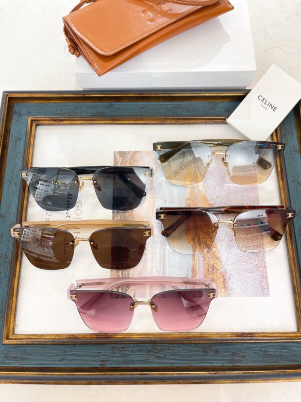 Celine   CL40244