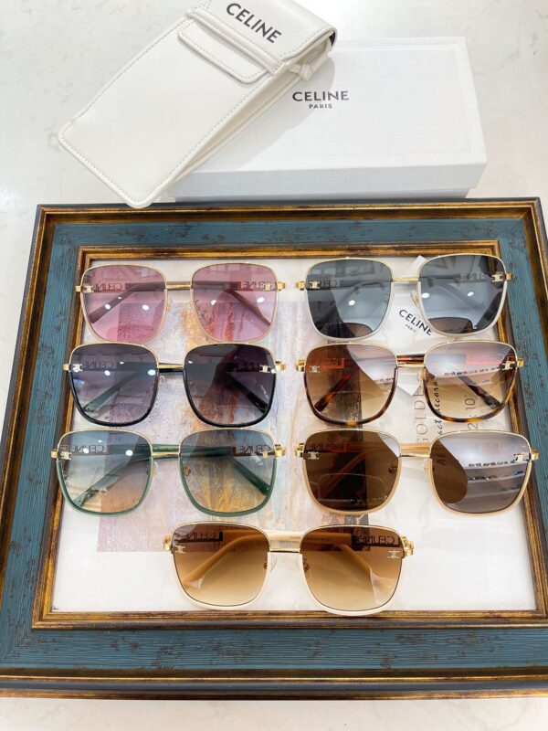 Celine  CL40243