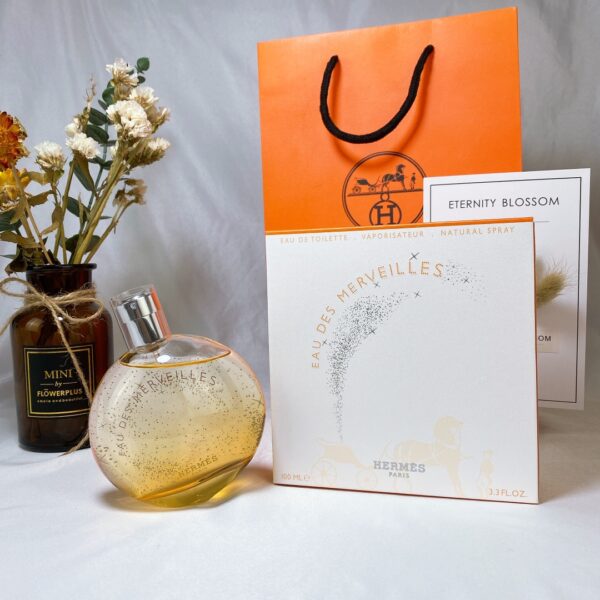 Hermes Eau des Merveilles, 2004