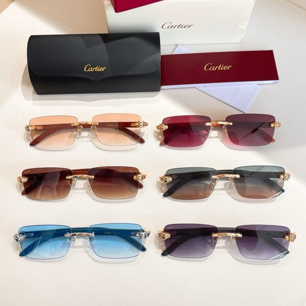 Santos de Cartier sunglasses in various colors