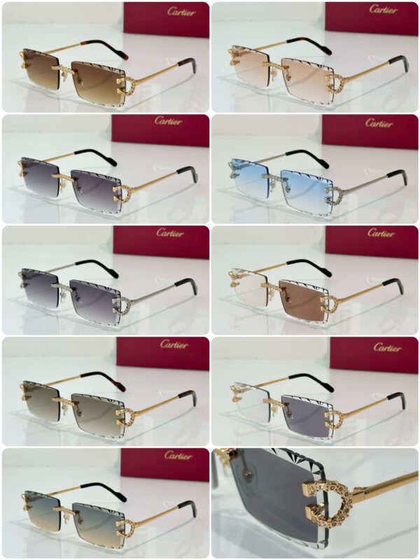 Cartier 0604S